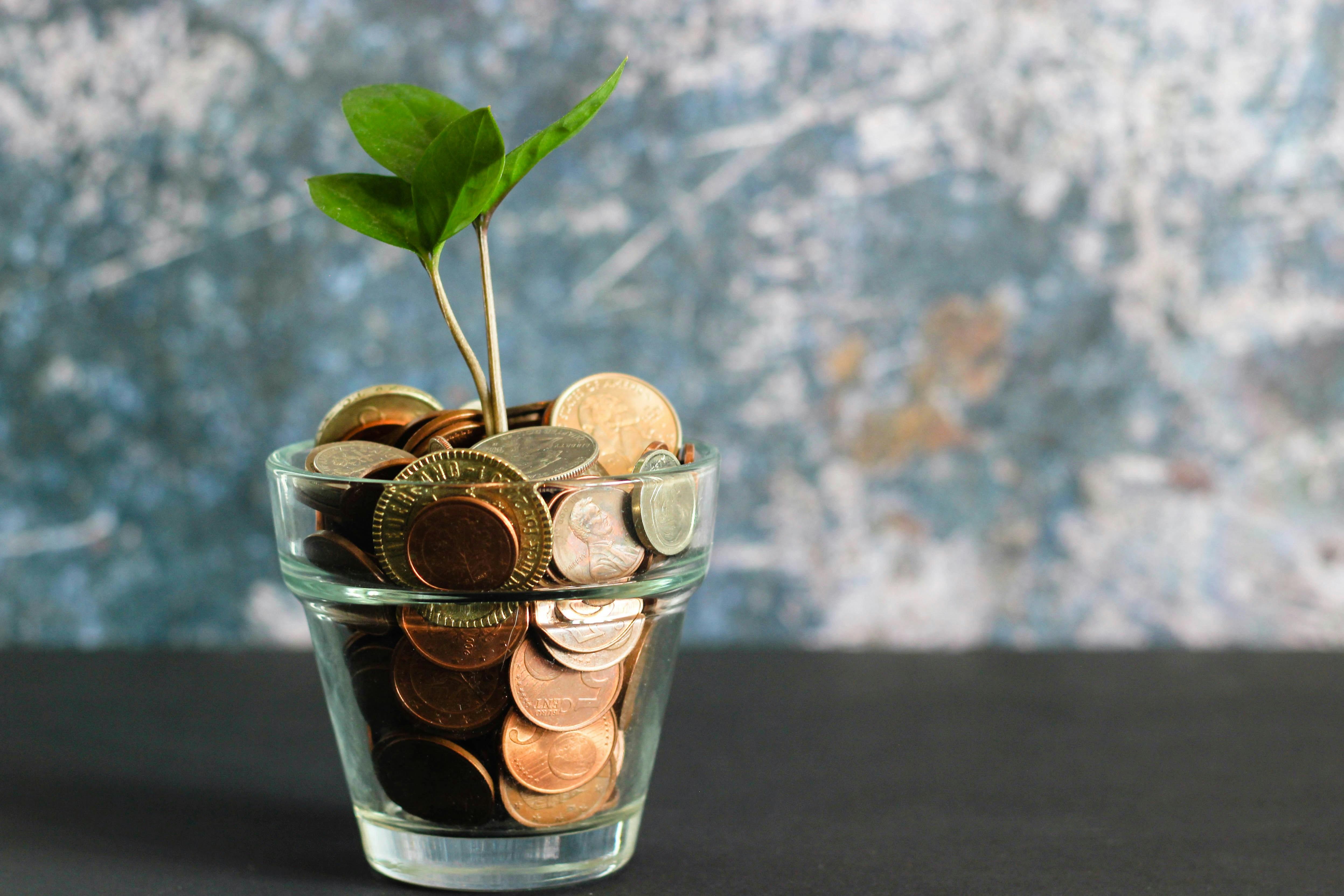How to Earn from Your Bio Page Without a Separate Store